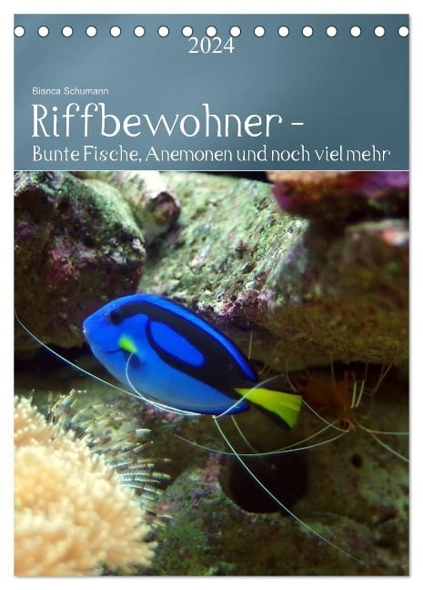 Riffbewohner - Bunte Fische, Anemonen und noch viel mehr (Tischkalender 2024 DIN A5 hoch), CALVENDO Monatskalender - Bianca Schumann