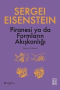 Cover-Bild zum Titel 'Piranesi ya da Formlarin Akiskanligi' von 'Sergey M. Eisenstein'