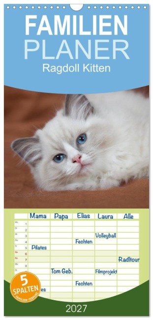 Familienplaner 2027 - Ragdoll Kitten mit 5 Spalten (Wandkalender, 21 x 45 cm) CALVENDO - Fotodesign Verena Scholze