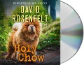Cover-Bild zum Titel 'Holy Chow' von 'David Rosenfelt'