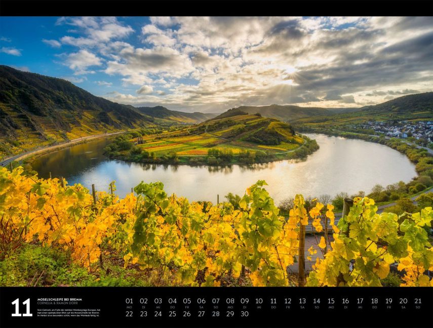 InsideView 11