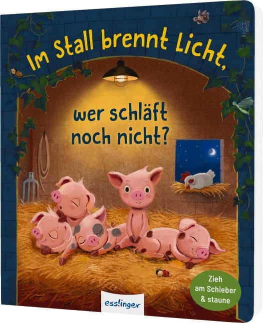 Im Stall brennt Licht, wer schläft noch nicht? - Anja Kiel
