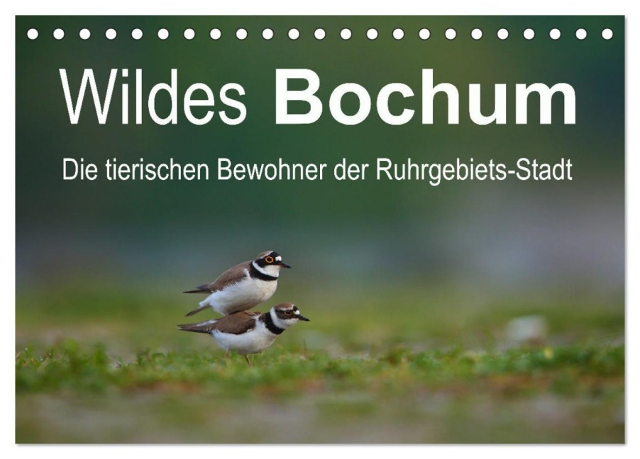 Wildes Bochum (Tischkalender 2026 DIN A5 quer), CALVENDO Monatskalender - Stefan Schütter