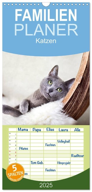 Familienplaner 2025 - Katzen mit 5 Spalten (Wandkalender, 21 x 45 cm) CALVENDO - Nailia Schwarz