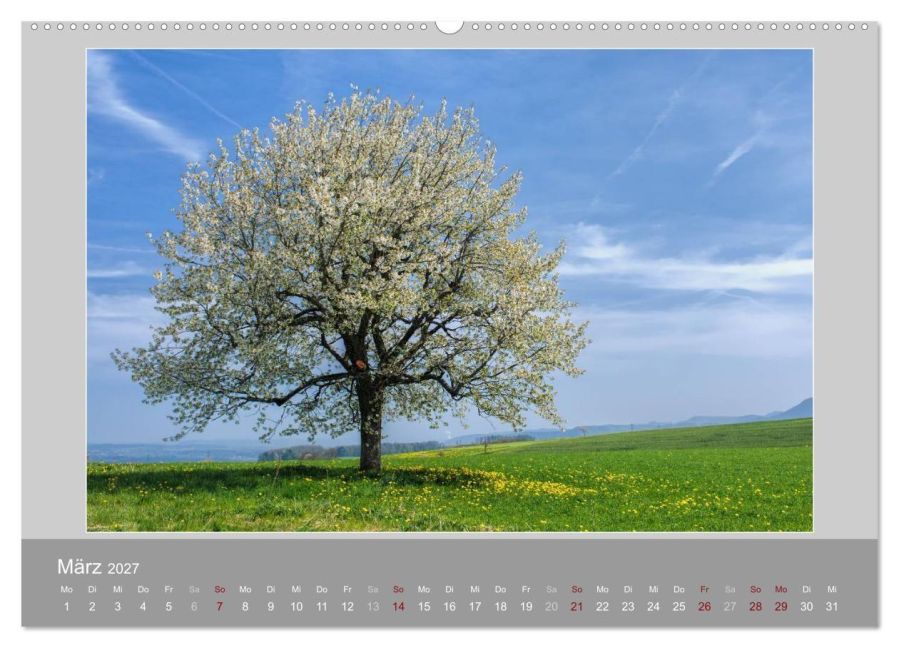 InsideView 7