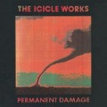 Cover-Bild zum Titel 'Permanent Damage' von 'The Icicle Works'