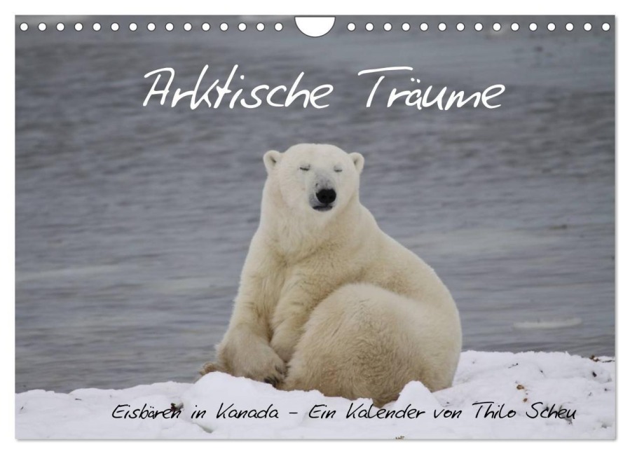 Arktische Träume - Eisbären in Kanada (Wandkalender 2027 DIN A4 quer), CALVENDO Monatskalender - Thilo Scheu