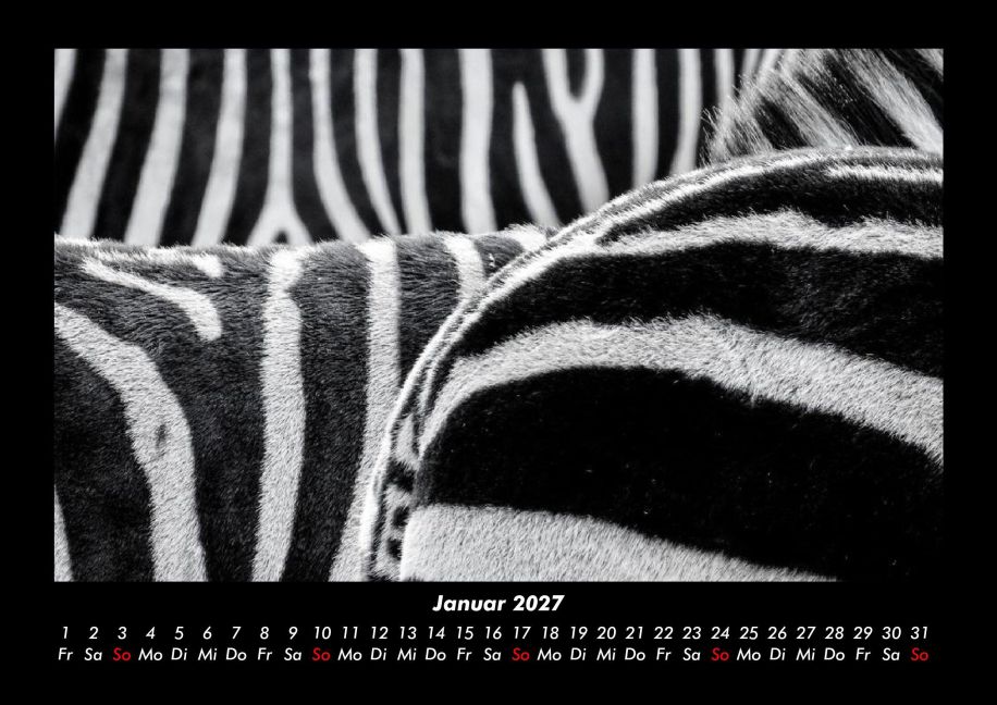 InsideView 5