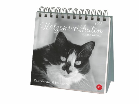 Monika Wegler: Katzen Weisheiten Premium-Postkartenkalender 2025 - 
