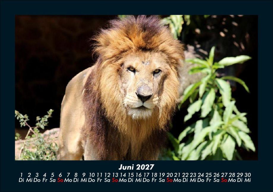 InsideView 10