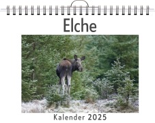 Cover-Bild zum Titel 'Elche' von 'Clara Möller'