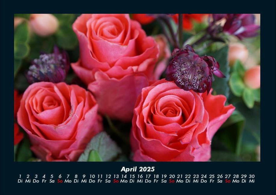 InsideView 8