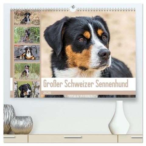 Großer Schweizer Sennenhund (hochwertiger Premium Wandkalender 2025 DIN A2 quer), Kunstdruck in Hochglanz - SchnelleWelten SchnelleWelten