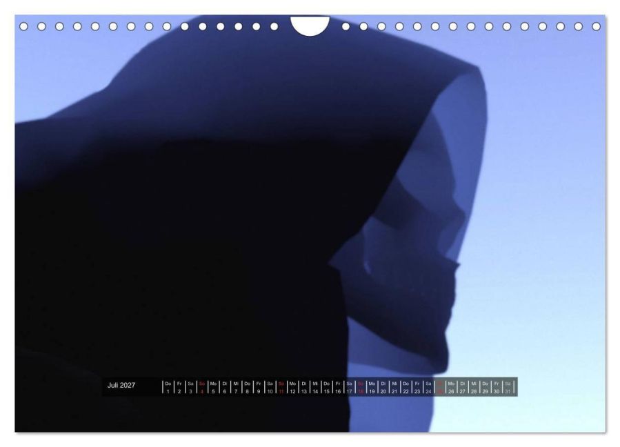 InsideView 12