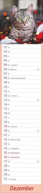InsideView 12