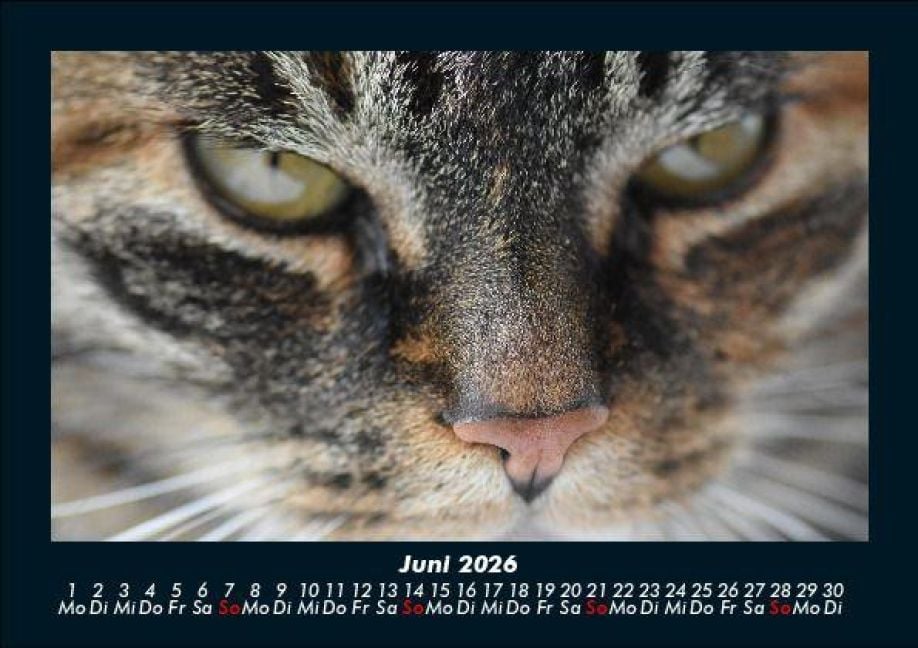 InsideView 10