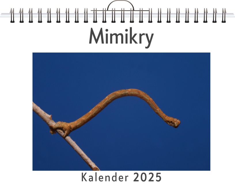 Mimikry - Charlotte Klein