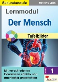 Cover-Bild zum Titel 'Lernmodul 1: Der Mensch / Tafelbilder' von 'Hermine Wabl'