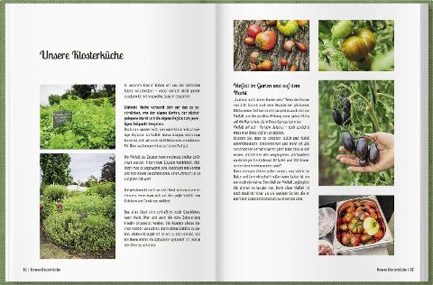 InsideView 6