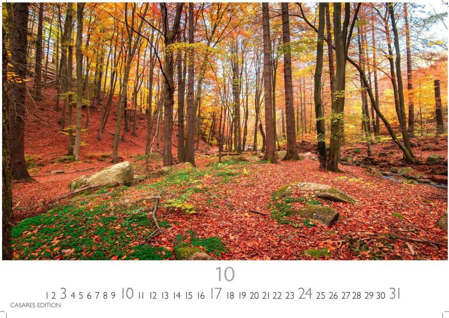 InsideView 10
