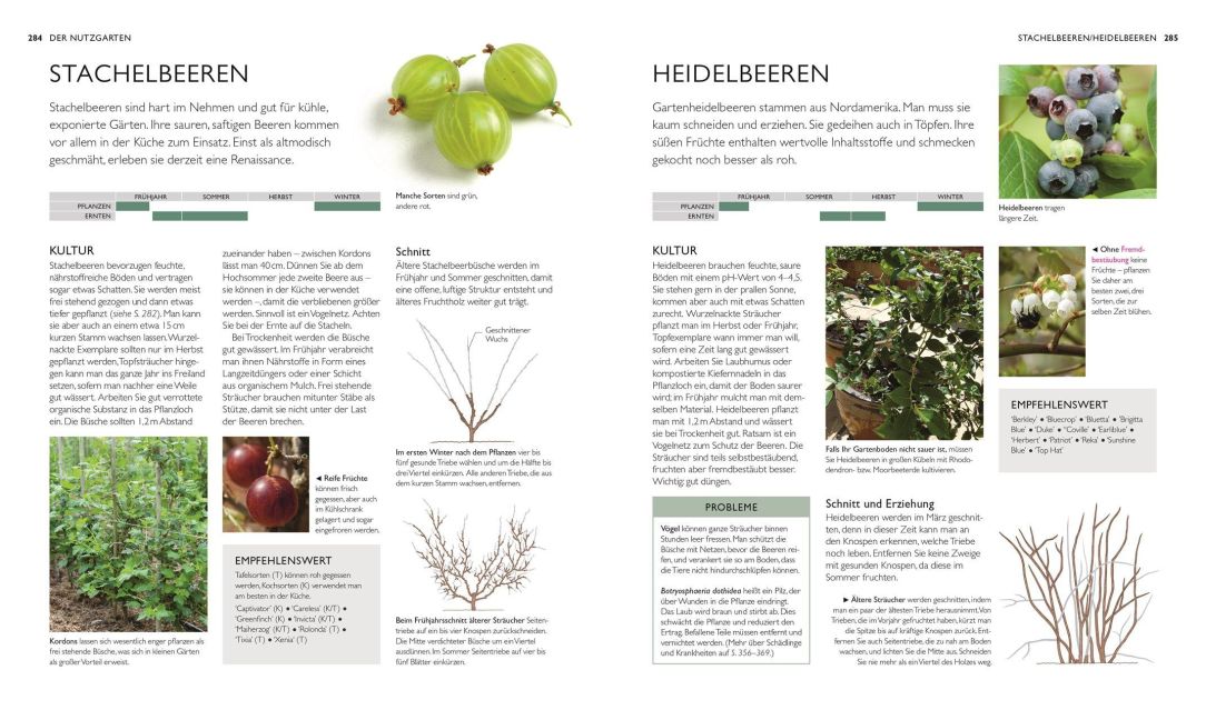 InsideView 6