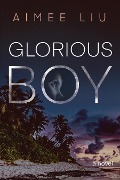Cover-Bild zum Titel 'Glorious Boy' von 'Aimee Liu'