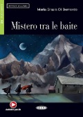 Mistero tra le baite - Maria G. DiBernardo