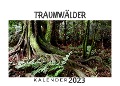 Cover-Bild zum Titel 'Traumwälder' von 'Bibi Hübsch'