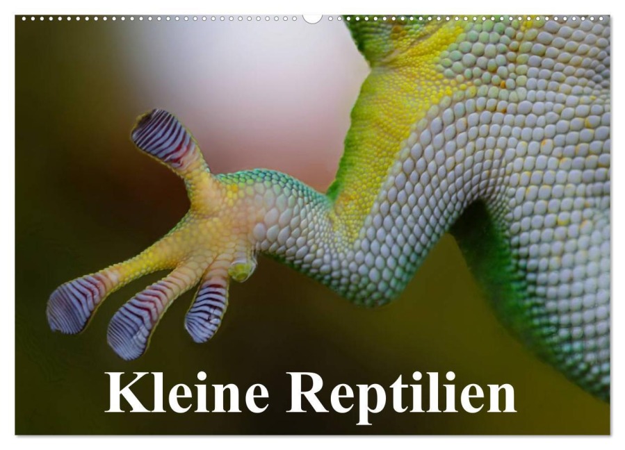 Kleine Reptilien (Wandkalender 2026 DIN A2 quer), CALVENDO Monatskalender - Elisabeth Stanzer