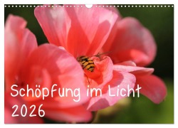 Cover-Bild zum Titel 'Schöpfung im Licht (Wandkalender 2026 DIN A3 quer), CALVENDO Monatskalender' von 'Katrin Hildebrand'
