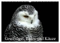 Greifvögel, Eulen und Käuze (Wandkalender 2024 DIN A2 quer), CALVENDO Monatskalender - Arno Klatt