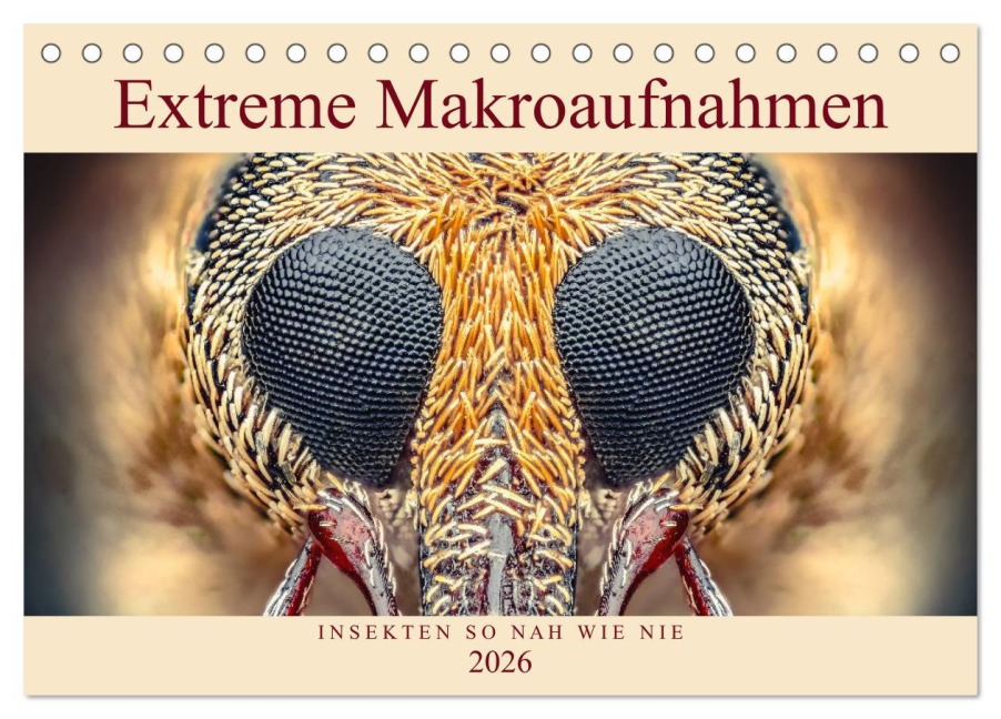 Extreme Makroaufnahmen - Insekten so nah wie nie (Tischkalender 2026 DIN A5 quer), CALVENDO Monatskalender - Ferdigrafie Ferdigrafie