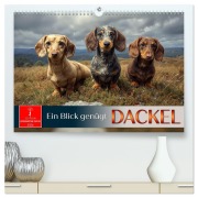 Cover-Bild zum Titel 'Dackel - ein Blick genügt (hochwertiger Premium Wandkalender 2026 DIN A2 quer), Kunstdruck in Hochglanz' von 'Roder Roder'