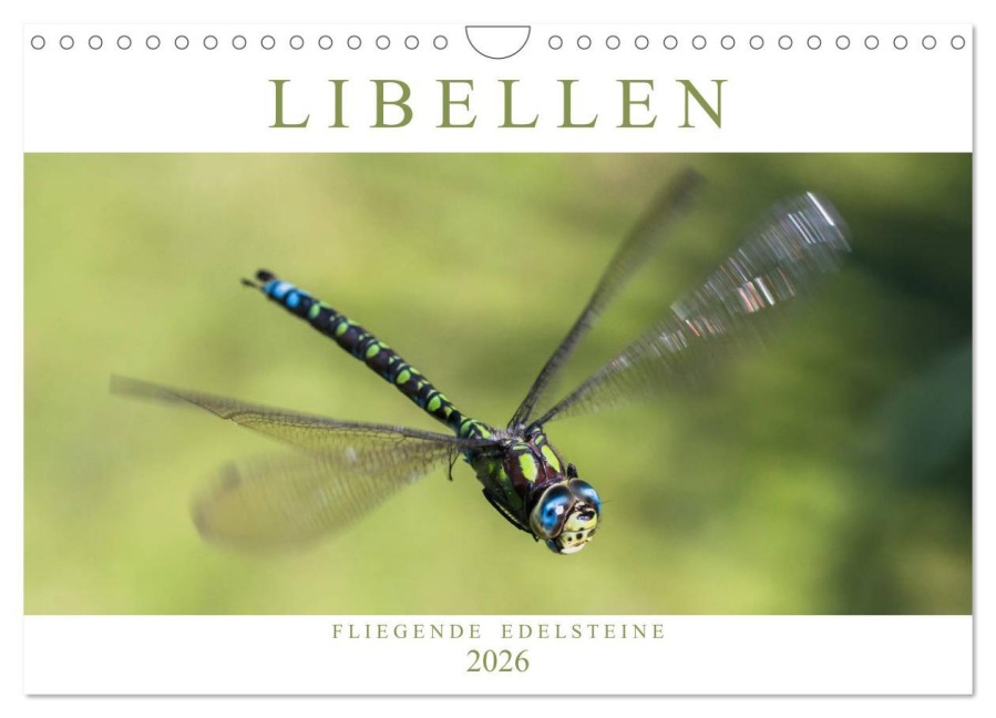 Libellen - Fliegende Edelsteine (Wandkalender 2026 DIN A4 quer), CALVENDO Monatskalender - Andreas Lippmann