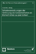 Cover-Bild zum Titel 'Schadensersatz wegen der Verletzung des Gewaltverbotes als Element eines ius post bellum' von 'Elisabeth Günnewig'