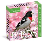 Cover-Bild zum Titel 'Audubon Birds Page-A-Day(r) Calendar 2026' von 'Workman Calendars'