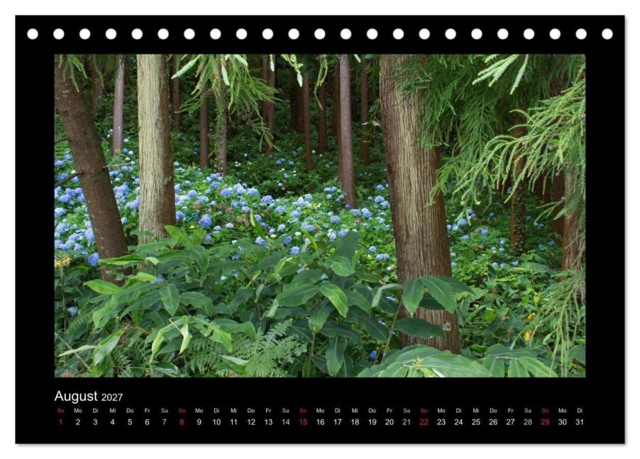 InsideView 13