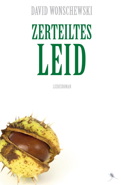 Zerteiltes Leid - David Wonschewski