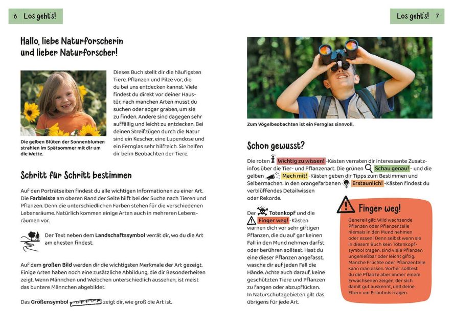 InsideView 3