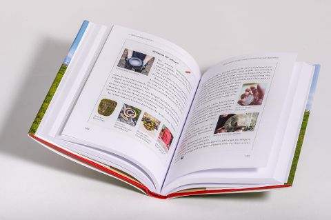 InsideView 6