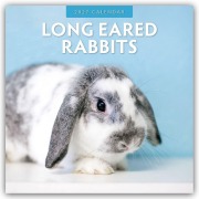 Cover-Bild zum Titel 'Long Eared Rabbits - Langohrhasen 2027 - 16-Monatskalender' von 'Robin Red'