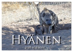 Cover-Bild zum Titel 'Hyänen - groß und klein (Wandkalender 2026 DIN A4 quer), CALVENDO Monatskalender' von 'Robert Styppa'