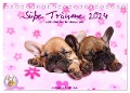 Süße Träume 2024 - schlafende Hundewelpen (Tischkalender 2024 DIN A5 quer), CALVENDO Monatskalender - Jeanette Hutfluss