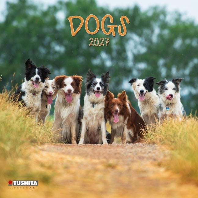 Dogs 2027 - 
