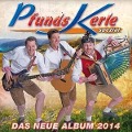 Cover-Bild zum Titel 'Let's Dance (Lass uns tanzen g' von 'Pfundskerle'