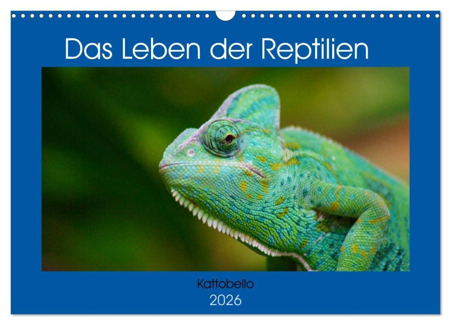 Das Leben der Reptilien (Wandkalender 2026 DIN A3 quer), CALVENDO Monatskalender - Kattobello Kattobello