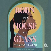 Cover-Bild zum Titel 'Born in a House of Glass' von 'Chinenye Emezie'