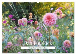 Dahlienglück (Wandkalender 2026 DIN A2 quer), CALVENDO Monatskalender - Gisela Kruse