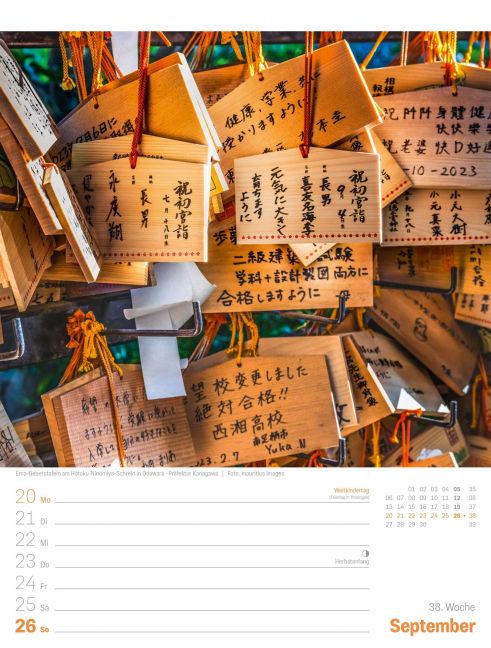 InsideView 42