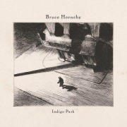 Cover-Bild zum Titel 'Indigo Park' von 'Bruce Hornsby'